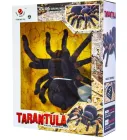 Павук Тарантул на радіоуправлінні з очима 30 см Cute Sunlight 871 Tarantula