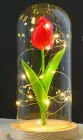 Нічник тюльпан у колбі з LED підсвічуванням живлення 3 батарейки ААА
