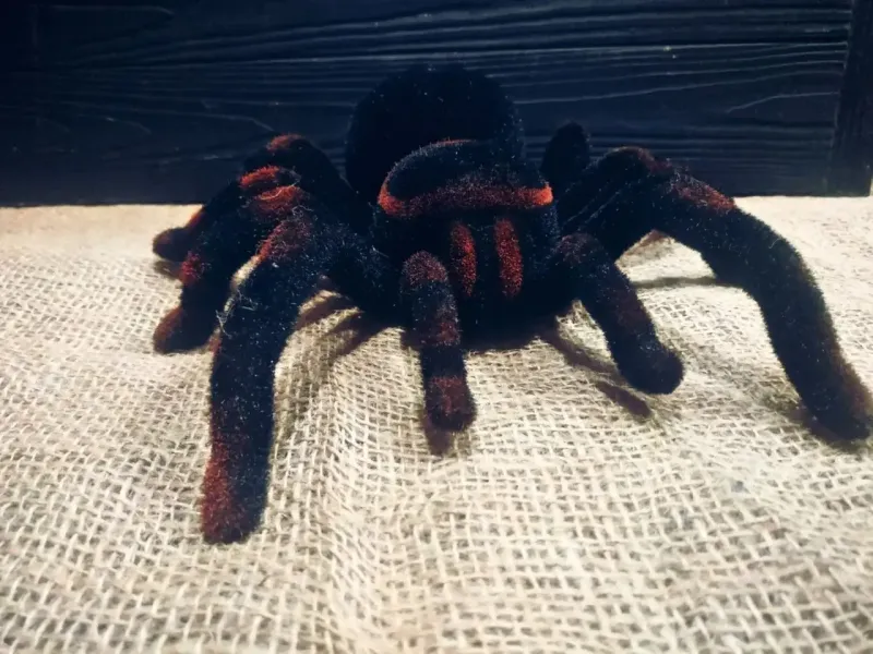 Павук Тарантул на радіоуправлінні з очима 30 см Cute Sunlight 871 Tarantula