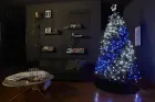 Новорічна розумна світлодіодна гірлянда Encora Xmas Lights, 100LED, 10М з керуванням через Bluetooth