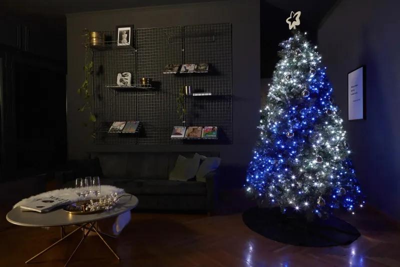 Новорічна розумна світлодіодна гірлянда Encora Xmas Lights, 100LED, 10М з керуванням через Bluetooth