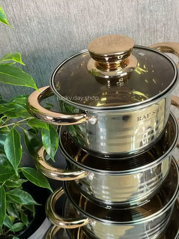 Набір каструль із неіржавкої сталі на 12 предметів RAF SKY RS7450