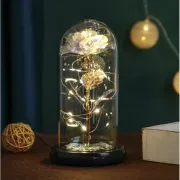 Вічна троянда в колбі з підсвічуванням 21 см, на батарейках, Біла