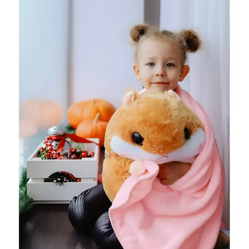 Плед-хом'як 3 в 1, Плед, Іграшка, Подушка