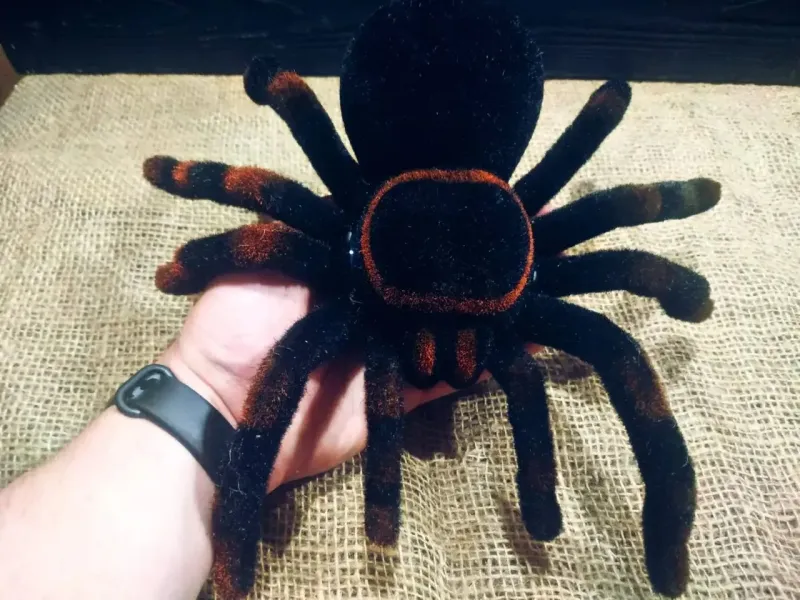 Павук Тарантул на радіоуправлінні з очима 30 см Cute Sunlight 871 Tarantula