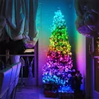 Новорічна розумна світлодіодна гірлянда Encora Xmas Lights, 100LED, 10М з керуванням через Bluetooth