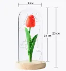 Нічник тюльпан у колбі з LED підсвічуванням живлення 3 батарейки ААА