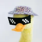 Інтерактивна іграшка повторювальна Talking duck