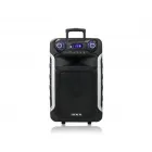 Акустична система ZXX-9393, динаміки 15”, 2 радіомікрофони