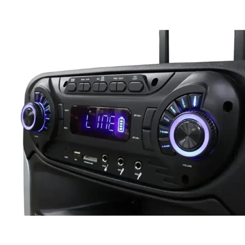 Акустична система ZXX-9393, динаміки 15”, 2 радіомікрофони