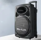 Портативна колонка Su-Kam BT 150D + 2 мікрофони 12v\220v