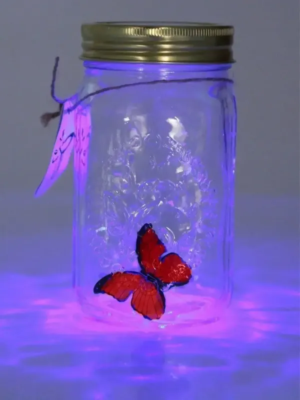 Декоративний нічник Метелик у банку / Інтерактивний метелик, що пархає, в банці з підсвічуванням Butterfly