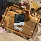 Гігрометр, вимірювач вологості та температури HTC-2 з додатковим датчиком