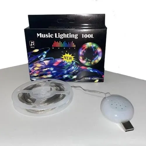 Гірлянда музична з динаміком USB 10 м