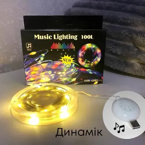 Гірлянда музична з динаміком USB 10 м