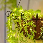 Гірлянда Роса з LED-підсвічуванням "Зелена Верба" ??2, Тепле світло SF-56