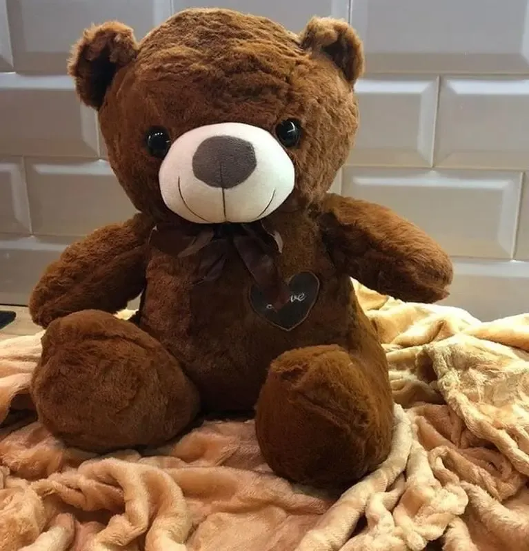 Якісна плюшева іграшка Бурий ведмідь  Коричневий, Ведмідь з ковдрою