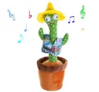 Кактус мексиканець від USB в одязі