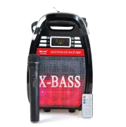 Колонка Golon RX 810 з мікрофоном - портативна Bluetooth колонка з радіо та світломузикою