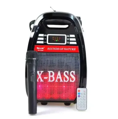 Колонка Golon RX 810 з мікрофоном - портативна Bluetooth колонка з радіо та світломузикою