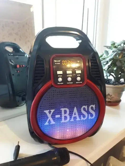 Колонка Golon RX 810 з мікрофоном - портативна Bluetooth колонка з радіо та світломузикою