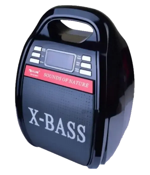 Колонка Golon RX 810 з мікрофоном - портативна Bluetooth колонка з радіо та світломузикою