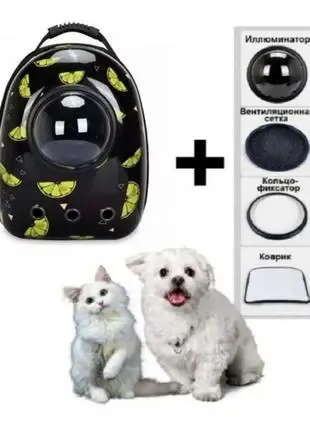 Космічний рюкзак для перенесення свійських тварин CosmoPet з ілюмінатором