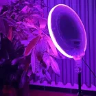 Кругла світлодіодна лампа 45см RGB-LED Fill Light GS-450 кольорова з пультом  для фото та відео