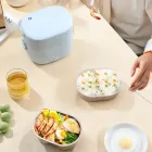 Ланч-бокс з підігрівом об'ємом 1 л на два контейнери з кришками LY-800