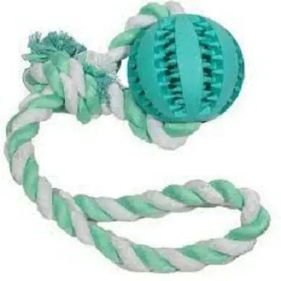 М'яч на мотузці з ручкою Denta Fun (24 см)