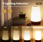 Нічник настільний світильник для дому акумуляторний Pat light HA-114 з пультом