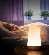 Нічник настільний світильник для дому акумуляторний Pat light HA-114 з пультом