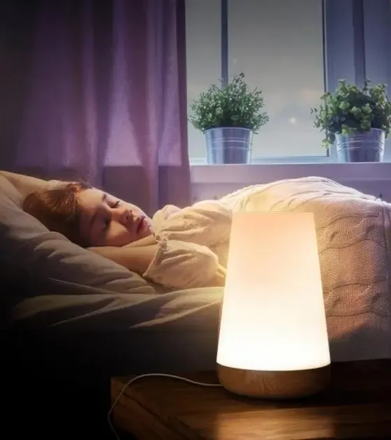 Нічник настільний світильник для дому акумуляторний Pat light HA-114 з пультом