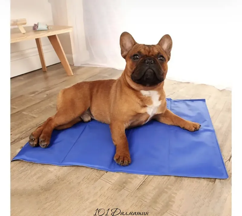 Килимок для собак Croci, що охолоджує, 65х50см