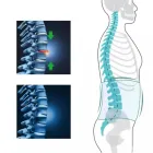 Пояс для спини при фізичних навантаженнях на липучках / Пояс на поперек / Ортопедичний пояс для попереку