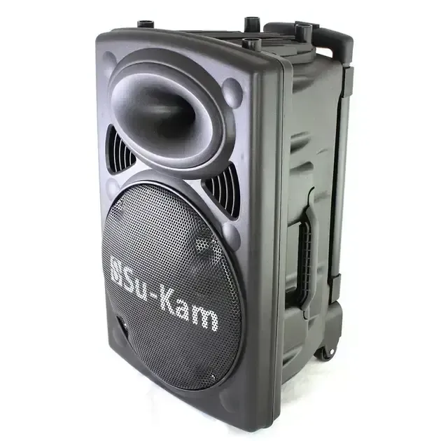 Портативна колонка Su-Kam BT 100D + 1 бездротовий мікрофон (12v/220v)