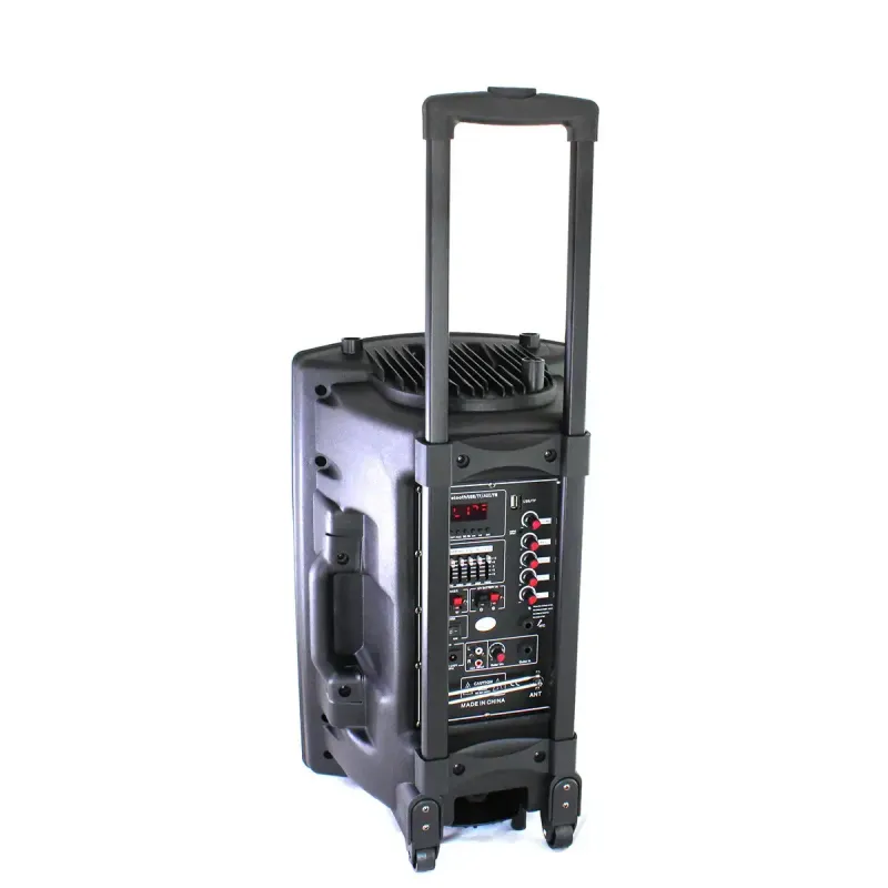 Портативна колонка Su-Kam BT 120D/212D+ 2 мікрофони 12v\220v