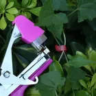 Скоби для садового підв'язувального степлера 10000 шт, 6х4 мм, 604С / Упаковка скоб для тапенера