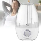 Ультразвуковий зволожувач повітря на 2.1 л із регулятором Ultrasonic Humidifier HD-2107