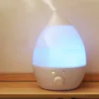 Зволожувач повітря на 1,3л підсвічуванням та регулятором Wild Wind Білий