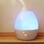 Зволожувач повітря на 1,3л підсвічуванням та регулятором Wild Wind Білий