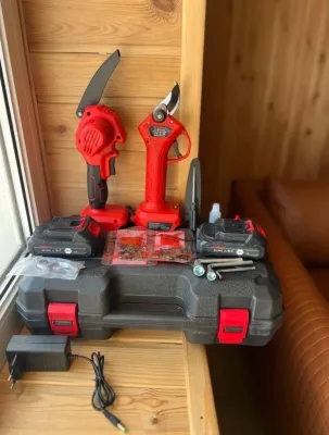 Комплект 2в1 акумуляторна ланцюгова міні пила та секатор садовий акумуляторний в кейсі